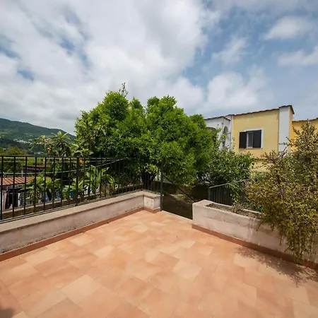 Villa Cataldo-Ischia Villa Ischia